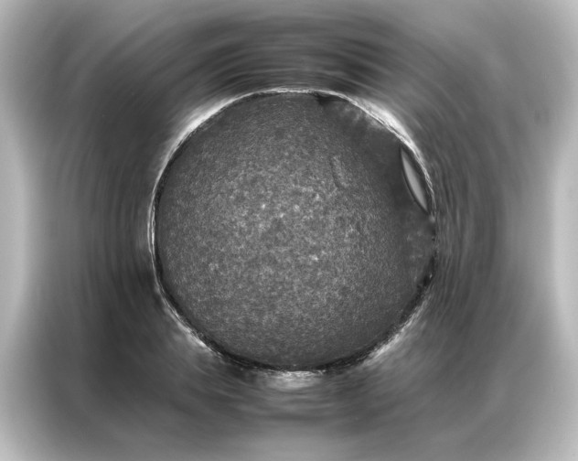 X0000087060839200705021215