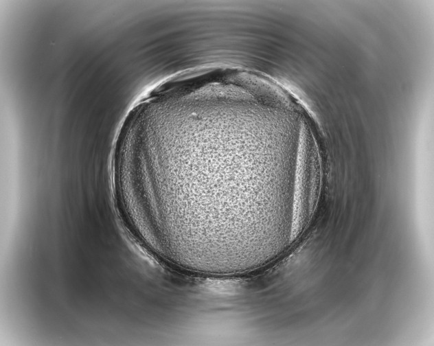 X0000087060840200705021215