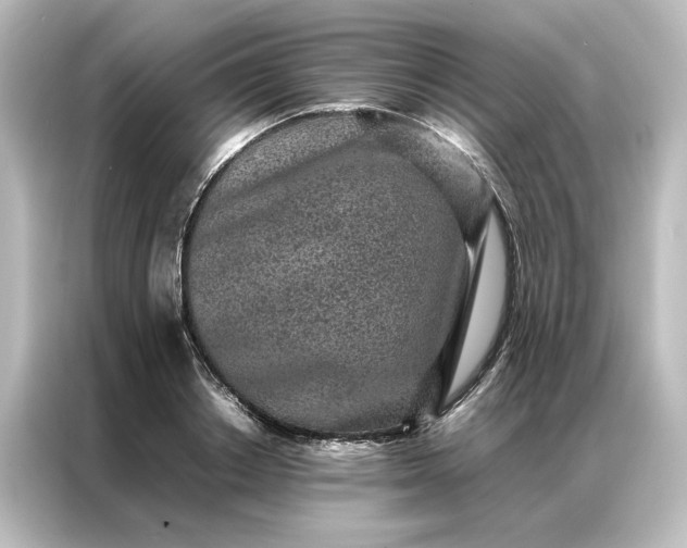 X0000087060842200705021215