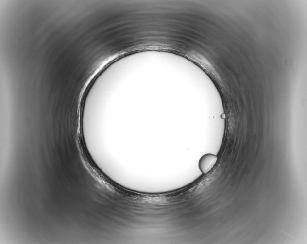 X0000087060844200705021215