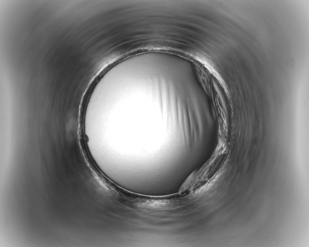 X0000087060845200705021215