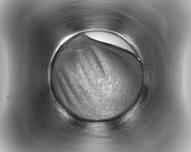 X0000087060846200705021215