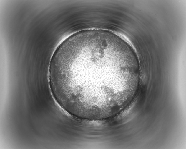 X0000087060847200705021215