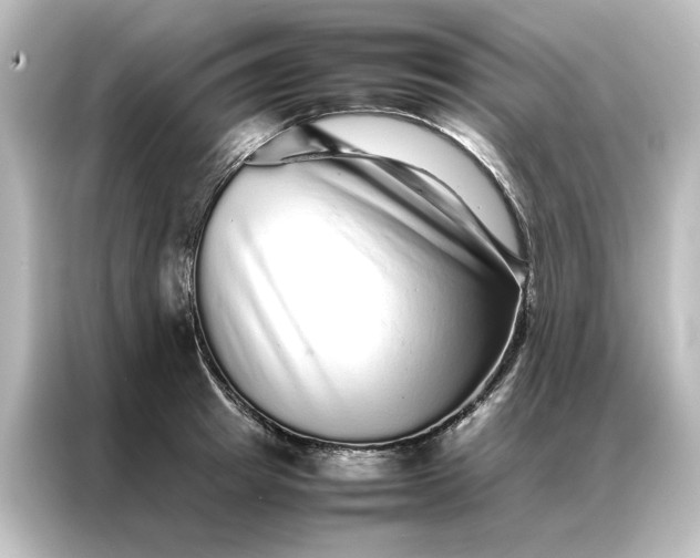 X0000087060849200705021215