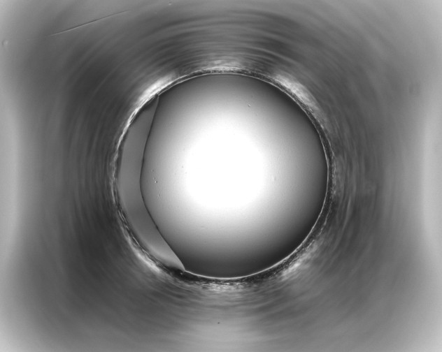 X0000087060850200705021215