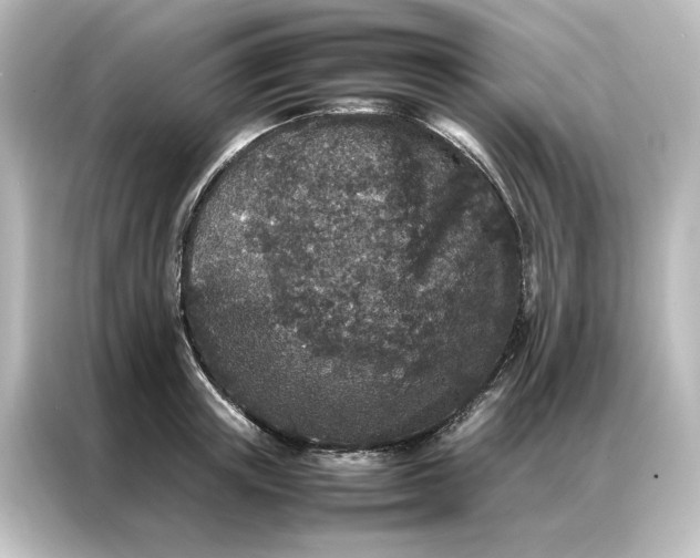 X0000087060851200705021215