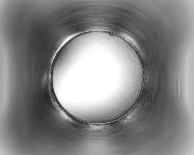 X0000087060852200705021215