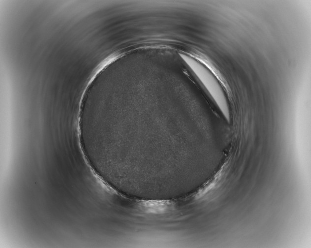 X0000087060853200705021215