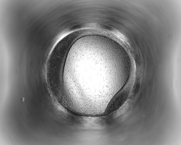 X0000087060854200705021215