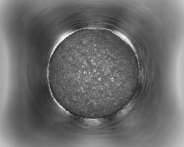 X0000087060855200705021215