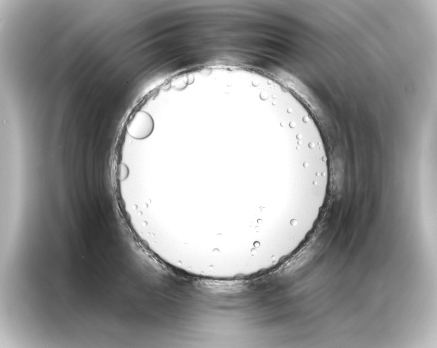 X0000087060856200705021215