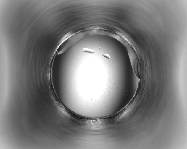 X0000087060858200705021215