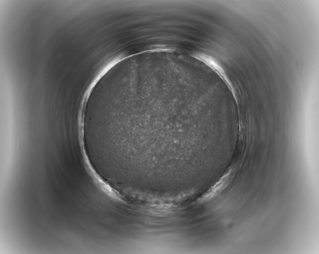 X0000087060859200705021215