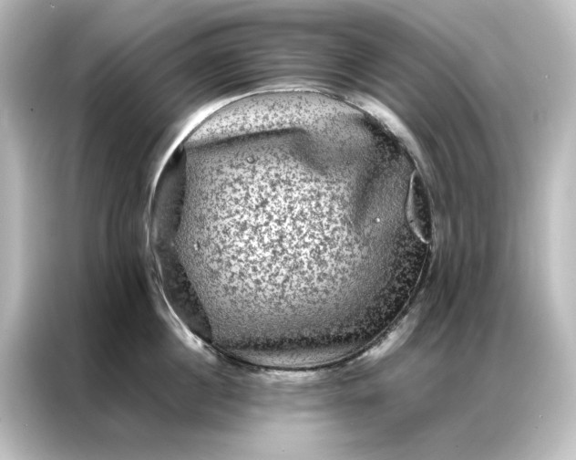 X0000087060860200705021215