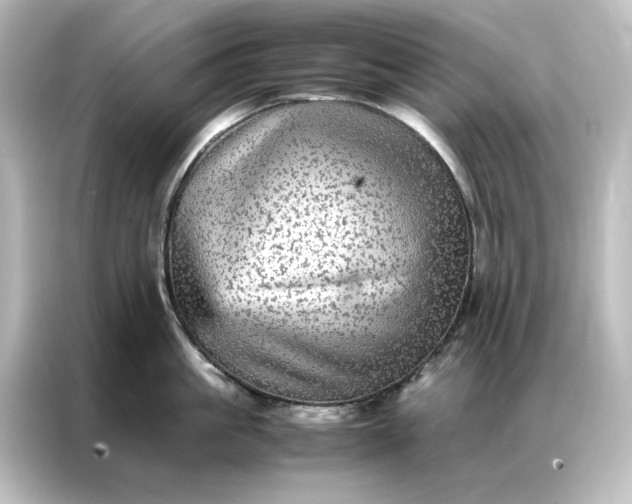 X0000087060861200705021215