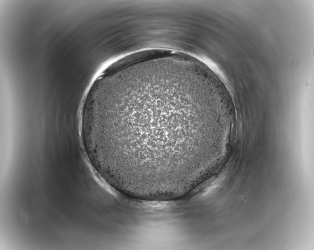 X0000087060862200705021215