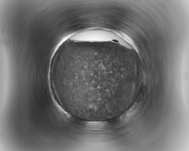 X0000087060863200705021215