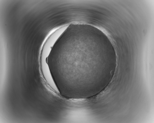 X0000087060864200705021215