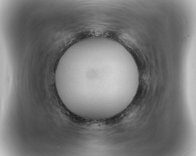 X0000087060865200705021215