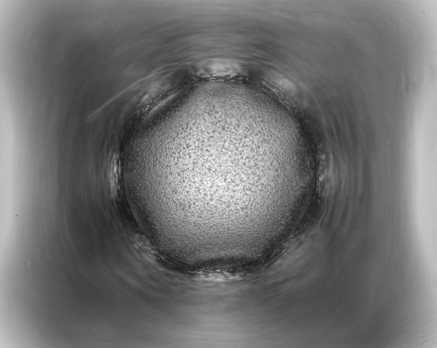 X0000087060866200705021215