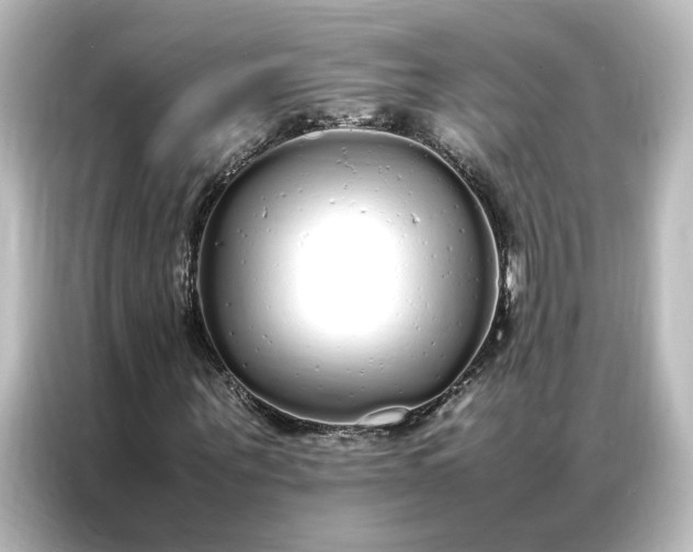 X0000087060867200705021215