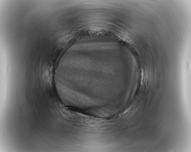 X0000087060868200705021215