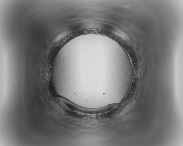 X0000087060869200705021214