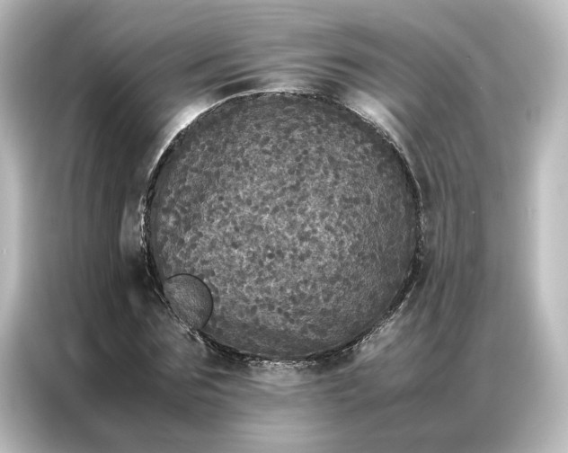 X0000087060875200705021214