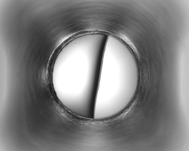 X0000087060876200705021214