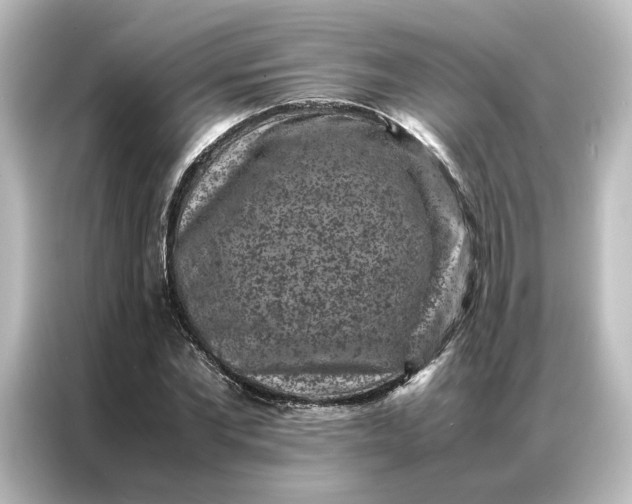 X0000087060877200705021214