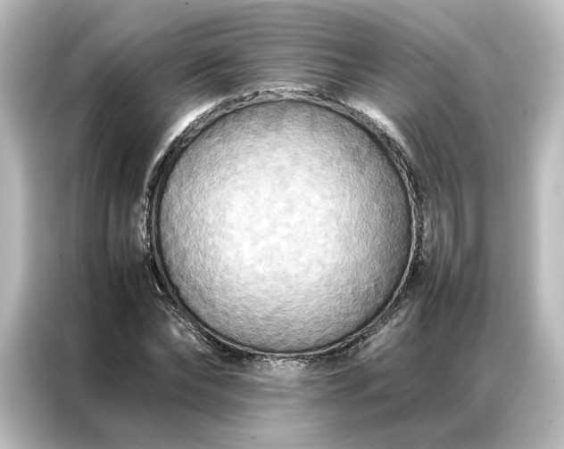 X0000087060878200705021214