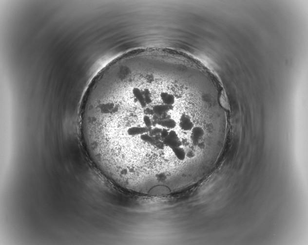 X0000087060879200705021214