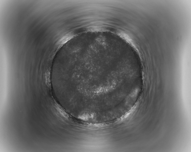 X0000087060881200705021214