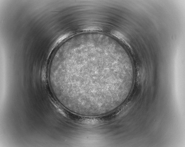 X0000087060882200705021214