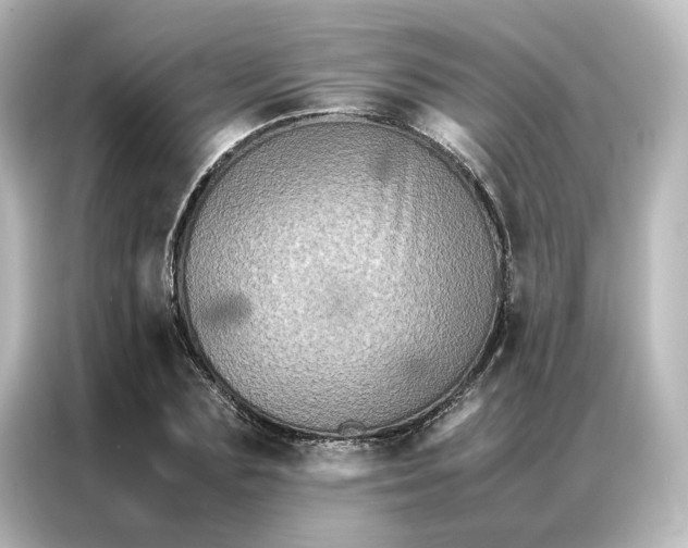 X0000087060883200705021214