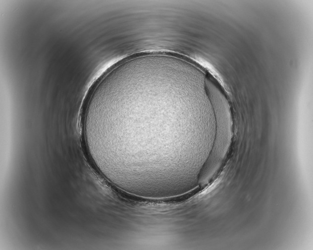 X0000087060885200705021214