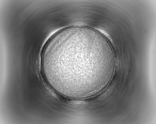 X0000087060886200705021214