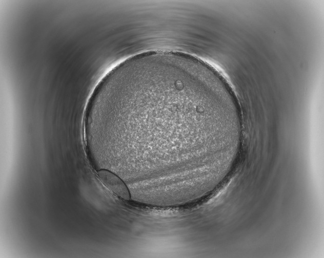 X0000087060887200705021214