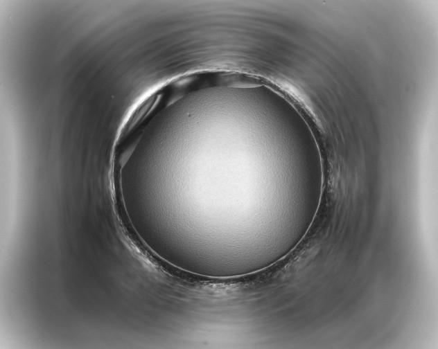 X0000087060888200705021214