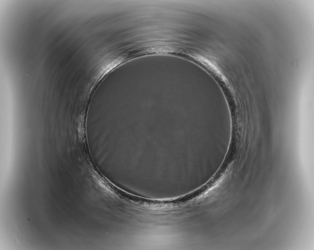 X0000087060889200705021214