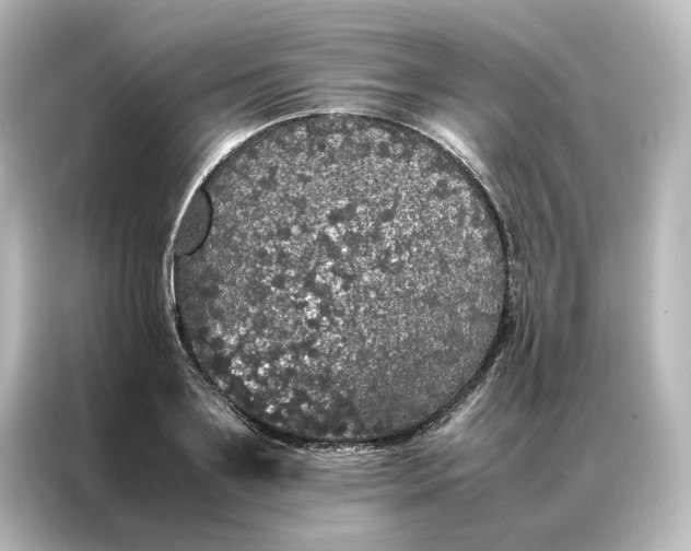 X0000087060891200705021214