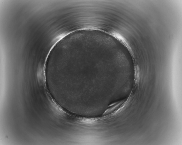 X0000087060892200705021214