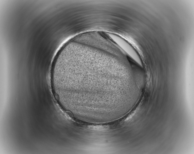 X0000087060896200705021214