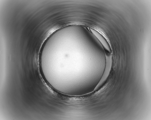 X0000087060898200705021214