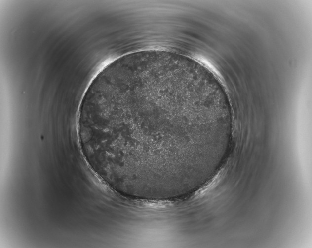 X0000087060899200705021214