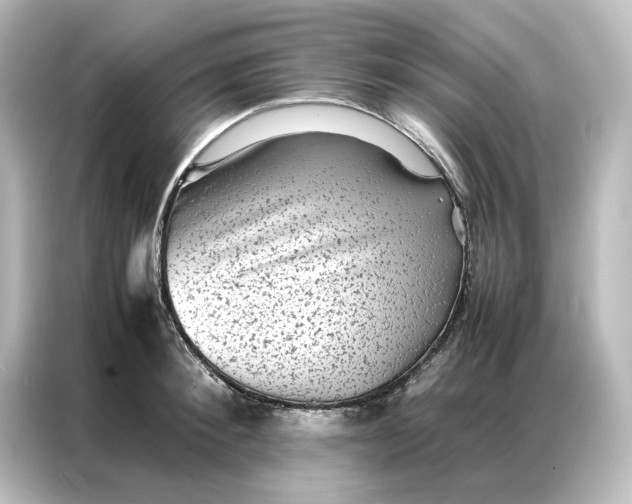 X0000087060900200705021214