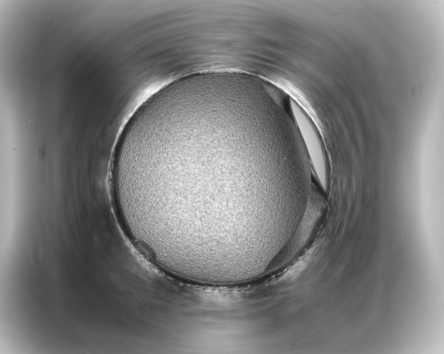 X0000087060901200705021214