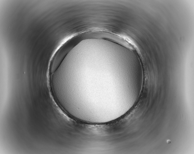 X0000087060902200705021214