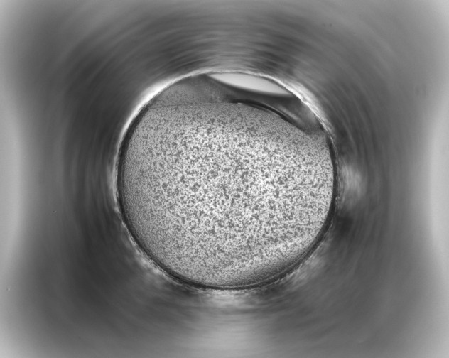 X0000087060904200705021214