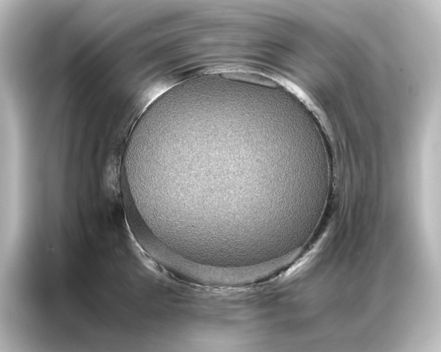 X0000087060905200705021214